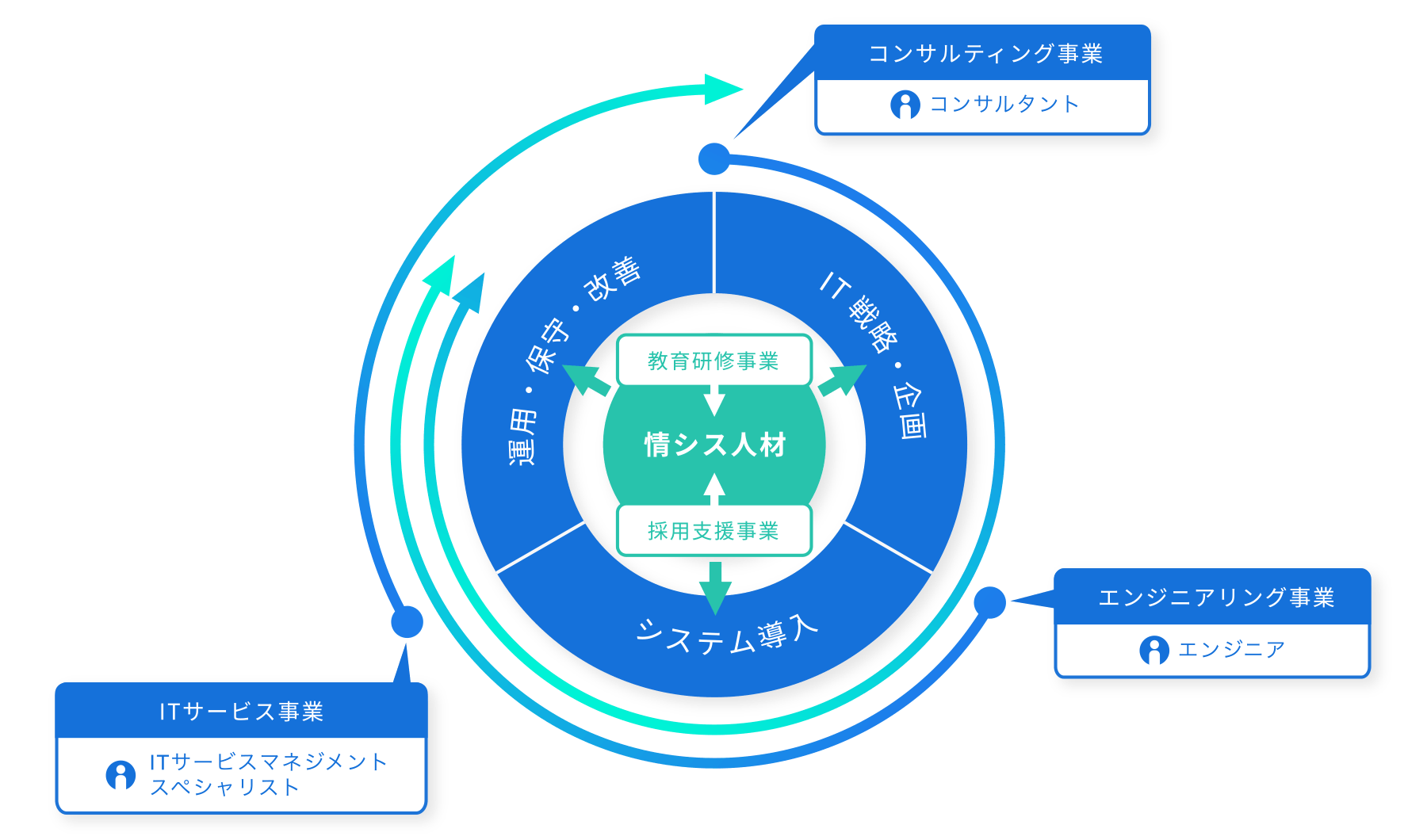 事業領域