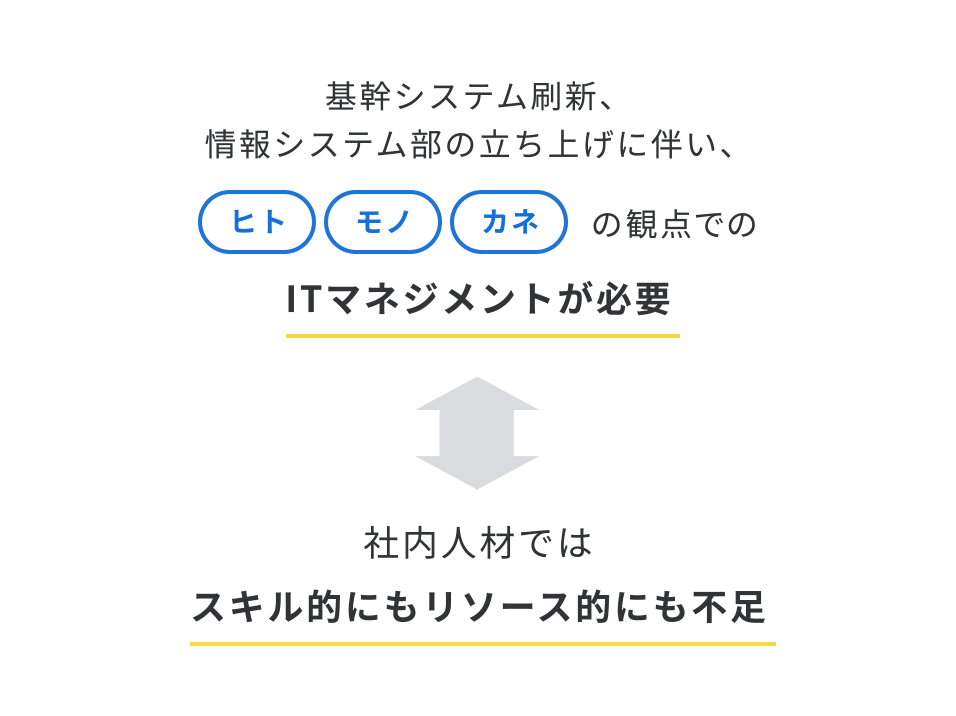 ITマネジメントが必要⇔スキル的にもリソース的にも不足